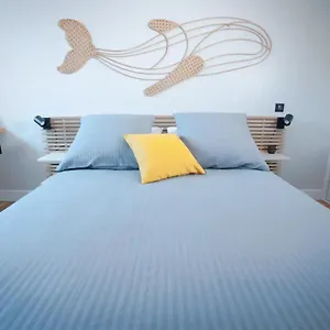 Appartement Coup De Cœur Assuré Pour Ce T2 Rénové Hyper Centre